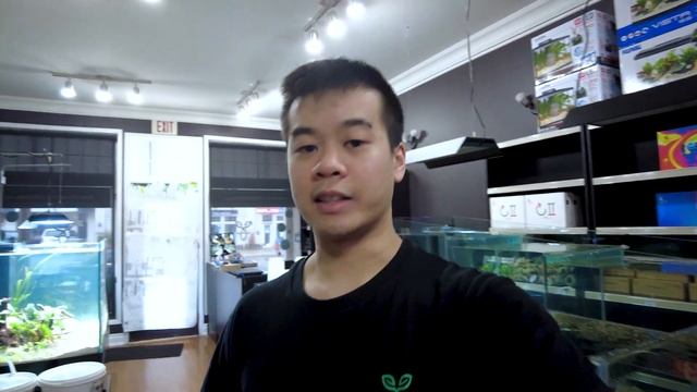 What you can expect at Planted Aquaria [Update] смотреть онлайн