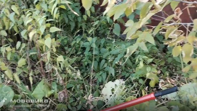 Отзыв о рычажной ЛР 1.6 смотреть онлайн