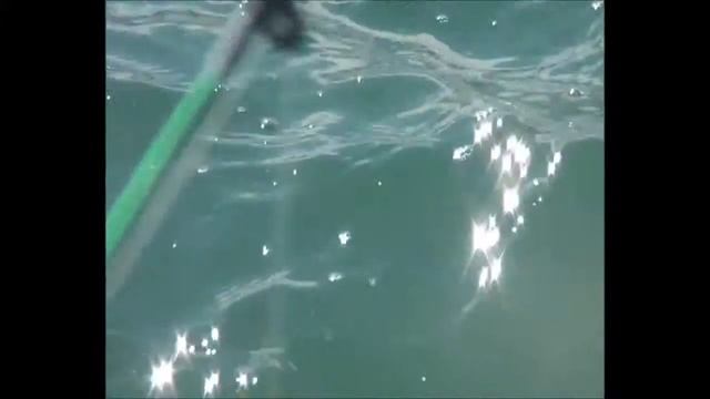 Adam and Ollie go fishing смотреть онлайн