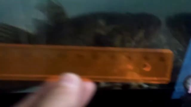 Университетский рецепт