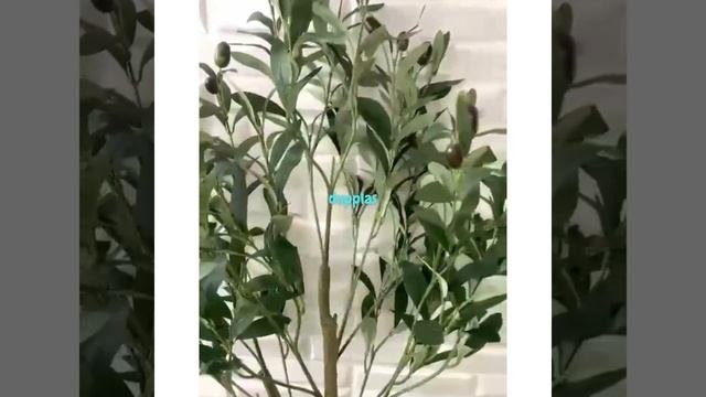 Pohon Daun Zaitun Olive Tree T120 Artificial Pot Dasar Hitam Plastik Tanaman Hias Dekorasi Pajangan смотреть онлайн