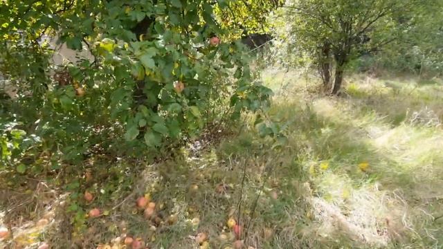 Тера Булгари/парцел за къща в кв. Бела Вода, на град Перник смотреть онлайн