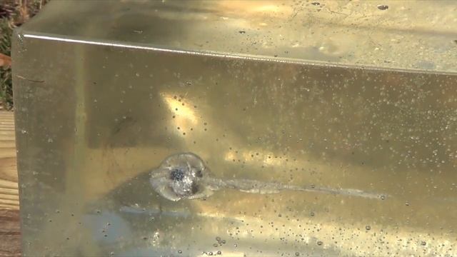 Federal Tactical Bonded 40 S&W 165gr JHP (LE40T3) Ballistics Gel Test (HD) смотреть онлайн