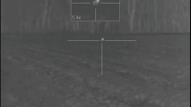 Fox at 150 yards Pulsar Trail XQ50 смотреть онлайн
