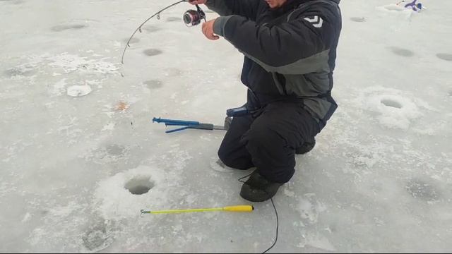 WhatsApp Video 2025-01-25 at 09.51.40 смотреть онлайн