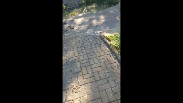 "Мужчина и женщина", проза смотреть онлайн