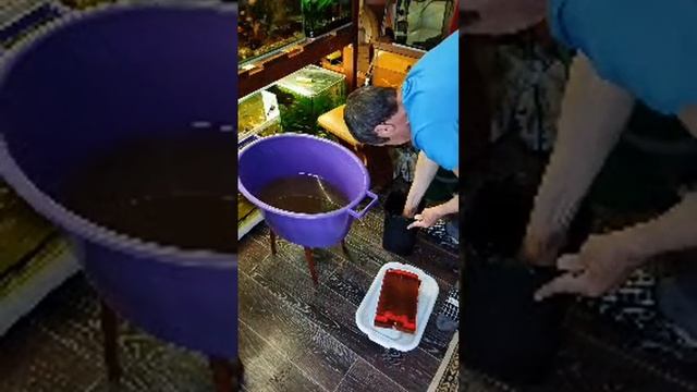 Смотрим внешний фильтр смотреть онлайн