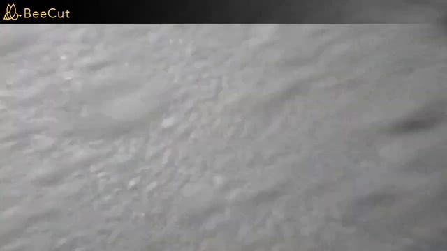 Varadero, Cayo Blanco - moře a delfíni смотреть онлайн