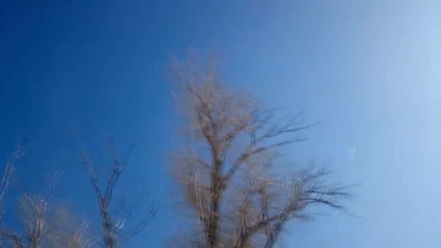 Тестовая активация RAZA-34-024 смотреть онлайн