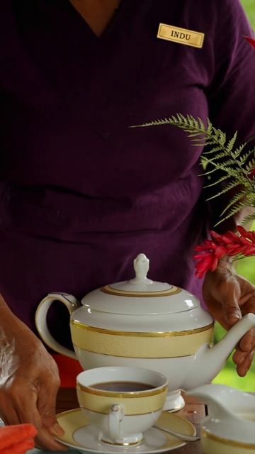 Aahaasa Tea Pavilion at Aarunya Resort смотреть онлайн