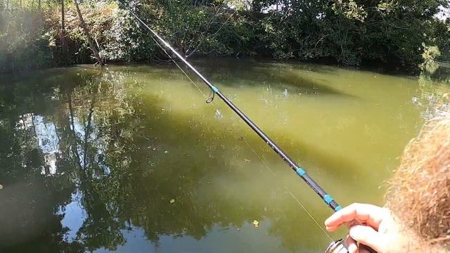 Bass Fishing France 2022 Part 2 смотреть онлайн
