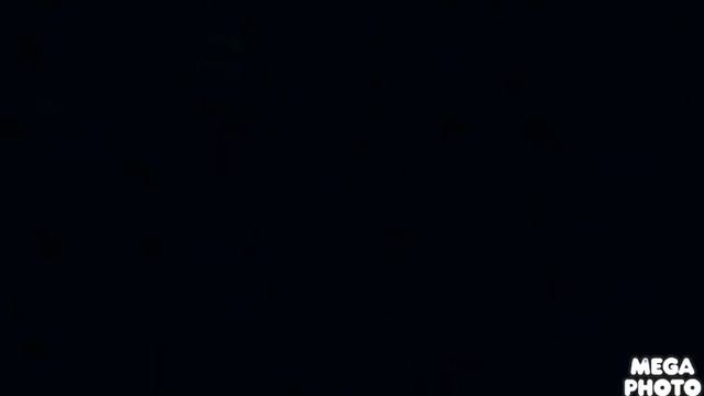 Blue gummy bear chorded and Cot Major kills the Photon смотреть онлайн