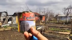 табачная шашка Гефест "как это начиналось"