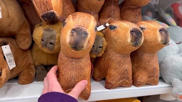 VLOGMAS: Гоголь-Моголь Магазины, Леонардо, Домаркет🎄✨ смотреть онлайн
