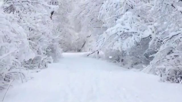 18 декабря 2016 г. смотреть онлайн