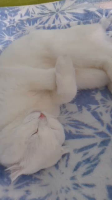 Самые лучшие фото Кекси часть 1 смотреть онлайн