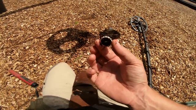 Minelab X-TERRA PRO METAL DETECTING!
