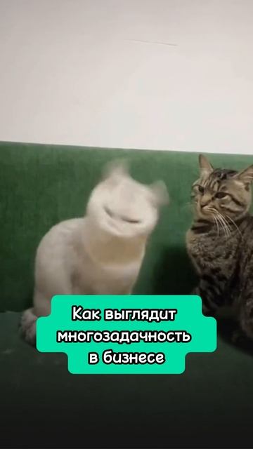 Так выглядит многозадачность в бизнесе