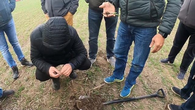 No till kviečiai ir soja dar pasivaikščiojom po laukus смотреть онлайн