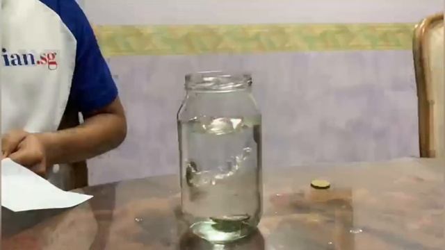 Physics project (Newton fist law of inertia) смотреть онлайн