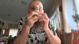 Свистульки. Душевные звуки.