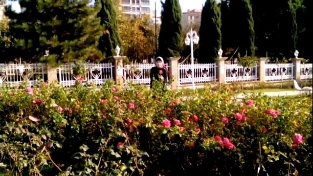 Istanbulda Sonbahar.Красивые парки Стамбула. смотреть онлайн