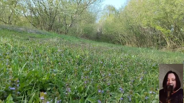 Богачка упросила нищего побыть "женихом на час" на свадьбе её мужа и любовницы. Но когда нищий вошё смотреть онлайн