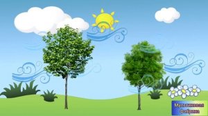 Мультфильм - Учим явление природы развивающий мультфильм для детей и взрослых #мультыильм #длядетей