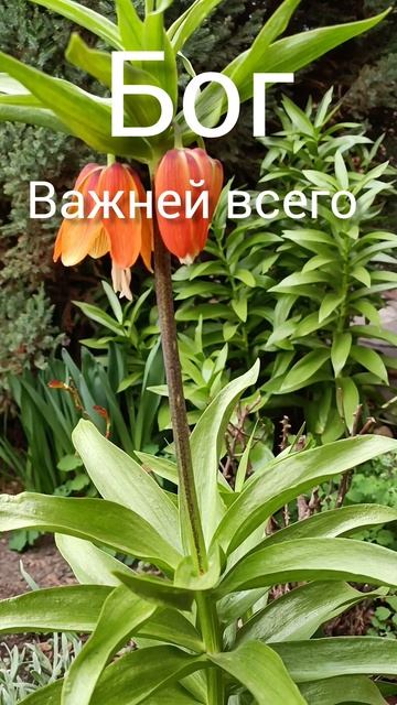 мудрые советы