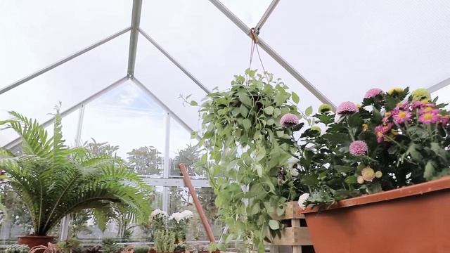 AMERLIFE 6x8 FT Hybrid Polycarbonate Greenhouse with Lockable Hinged Door 2 Vent Window смотреть онлайн