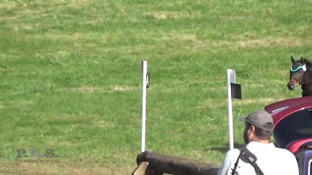 Jillian Dean & Queen Of The Fairies at Virginia Horse Trials CCI/CIC & HT 2018 смотреть онлайн