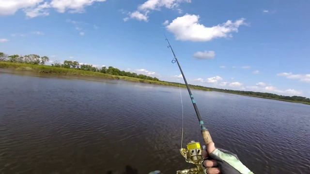 Halco Popper Top Water Lure on a Van Staal - Filmed with a Gdome смотреть онлайн