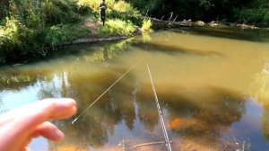 ПОЕХАЛИ за ХАРИУСОМ, НАЛОВИЛИ ОКУНЕЙ. Малые реки Ленинградской области