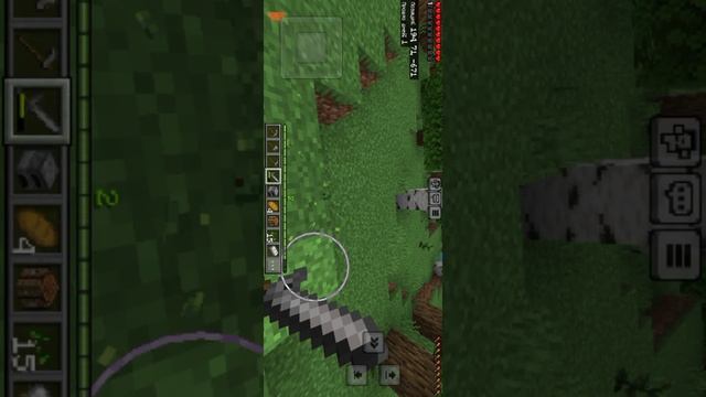 1 сезон выживания начало