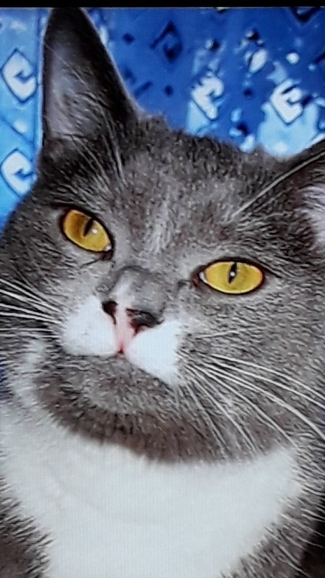 Косяк на даче весна-лето 2024 год #КосКосяков смотреть онлайн