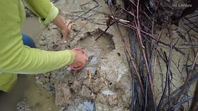Lucky - Found Giant Mud Crabs In Holes While Raining смотреть онлайн