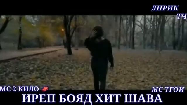 Клип мс тгой мс 2 кило гушт смотреть онлайн