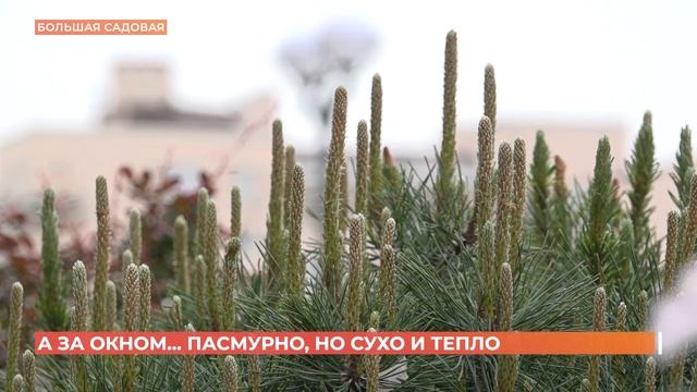 А за окном. 26 апреля 2024 смотреть онлайн