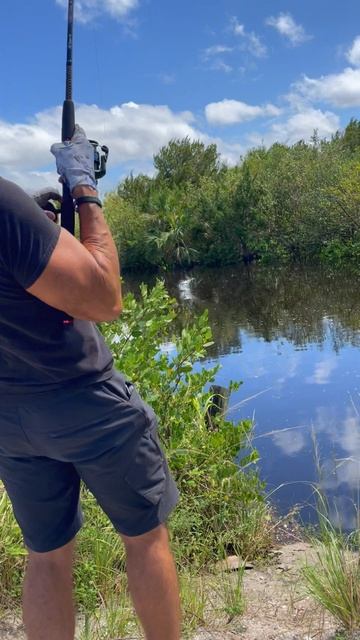 BIG DOUBLE 360 BITE! Fishing Tiny Shallow Creek! #shorts смотреть онлайн