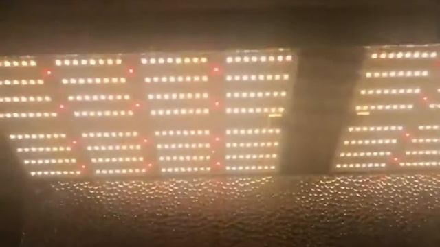 Quantum board / multi-spectrum switching - lm301b смотреть онлайн