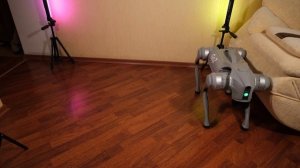 #3 Сложные действия робота собаки Go2