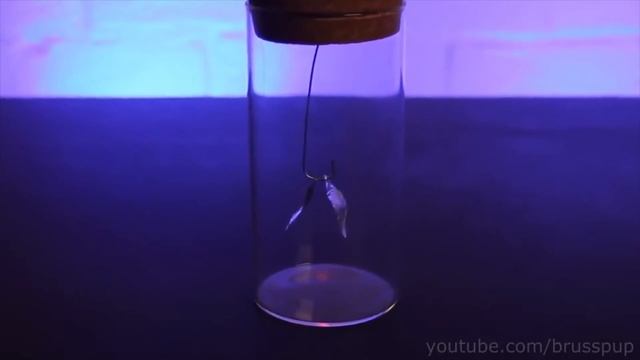 Fun Experiment Report Writing (Static Electricity) - EFL G5 смотреть онлайн