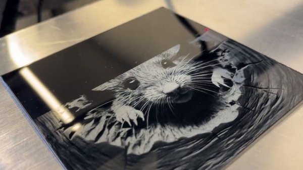 Unleash the Power with ACMER A2 1064nm Infrared Laser Module for Epic P2 & P1 Tests!