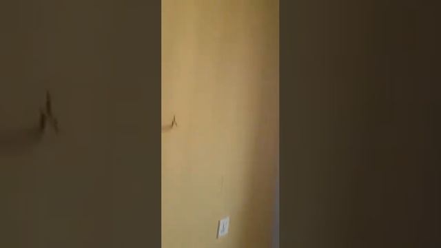 Ashton road kano state Nigeria I A room and parlor self-contained I Kano apartment I Kano houses смотреть онлайн