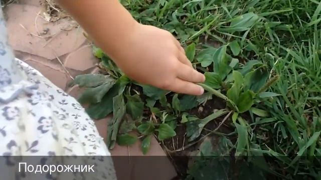 декор стройка дизайн смотреть онлайн