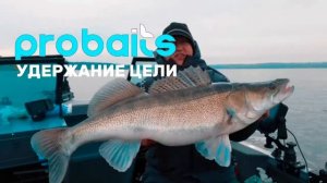 Ротатор для Panoptix и Active Target Probaits