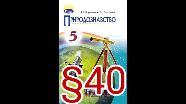 40 "НАЗЕМНО-ПОВІТРЯНЕ СЕРЕДОВИЩЕ ТА ЙОГО МЕШКАНЦІ"//5 КЛАС ПРИРОДОЗНАВСТВО//КОРШЕВНЮК. смотреть онлайн