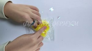 CКВИШ ТАБА ХОМЯК