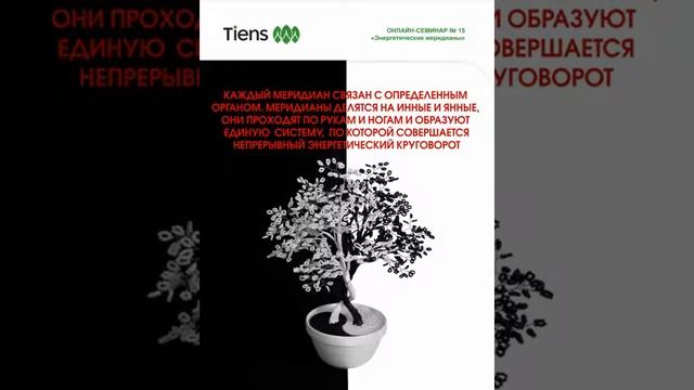 О принципе деления меридианов и их связь с органами в человеческом организме. Смотрим 3 ролик. смотреть онлайн