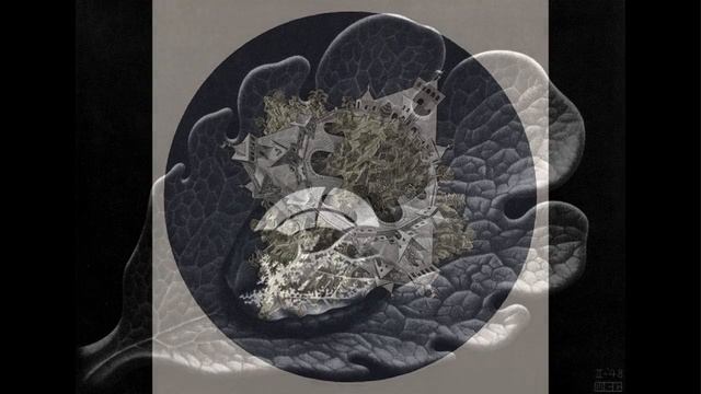 The Art of Maurits Cornelis Escher смотреть онлайн